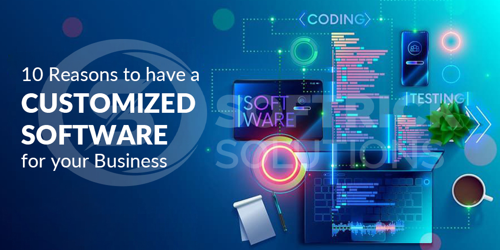 10 Reasons to have a Customized Software for your Business