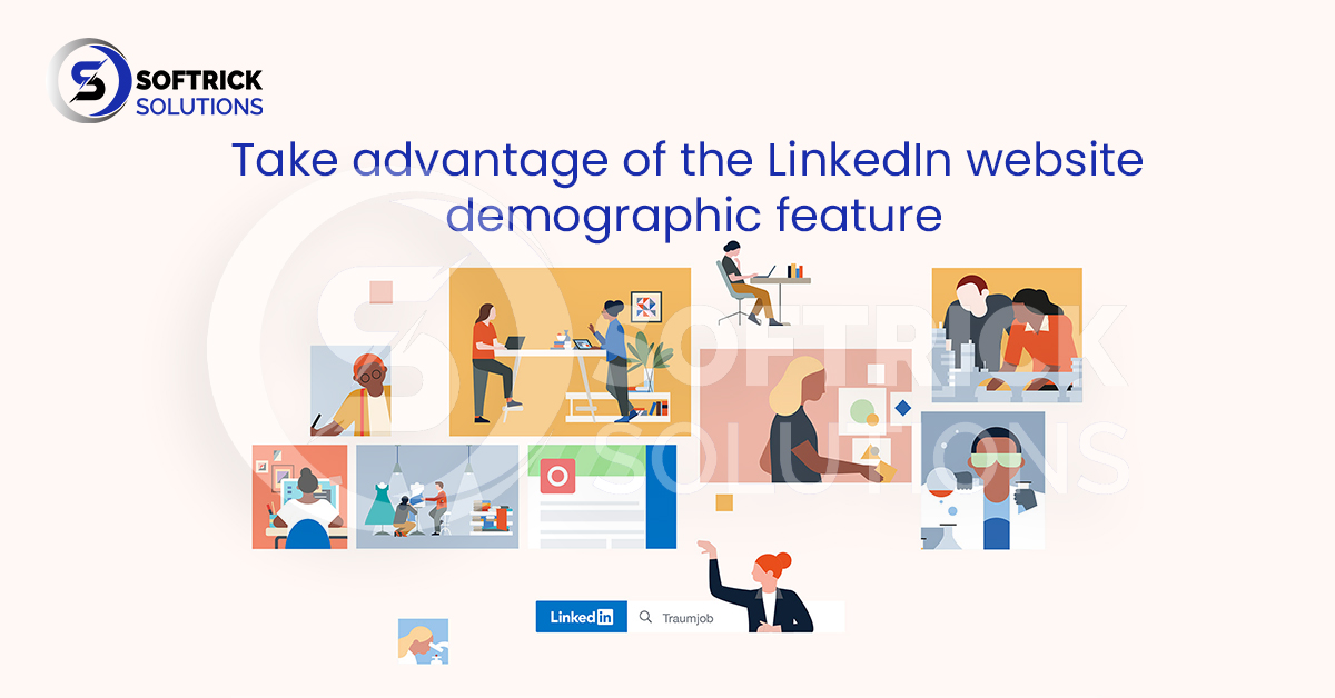 Take advantage of the LinkedIn website demographic feature