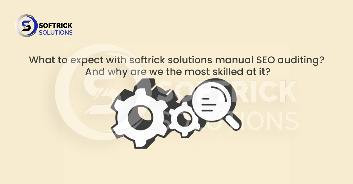 What to expect with softrick solutions manual SEO auditing. And why are we the most skilled at it