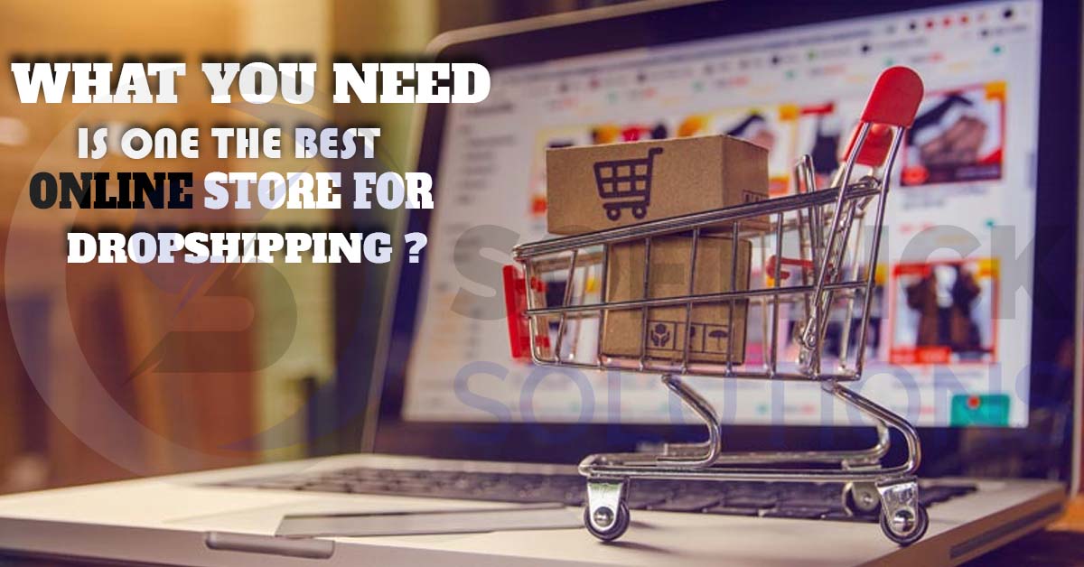 What you need is one the best online store for dropshipping with softricks solution!