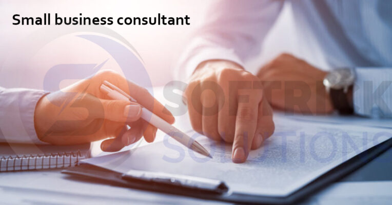 2. Small business consultant